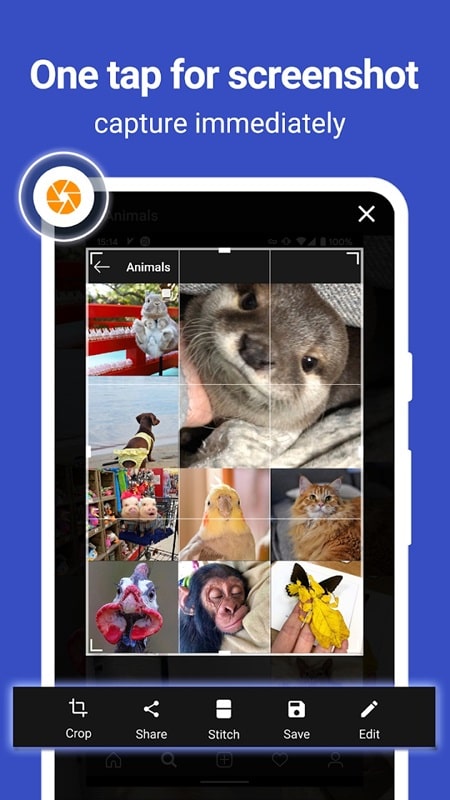 ScreenMaster Screenshot 2