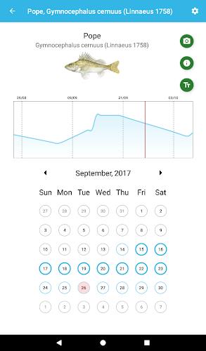 Fish Planet Calendar  Screenshot 5