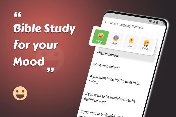 King James Bible  Screenshot 18