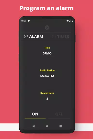 Radio Turkey FM online  Screenshot 3