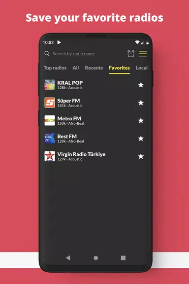 Radio Turkey FM online  Screenshot 2