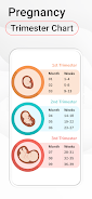 Pregnancy Calculator  Screenshot 4