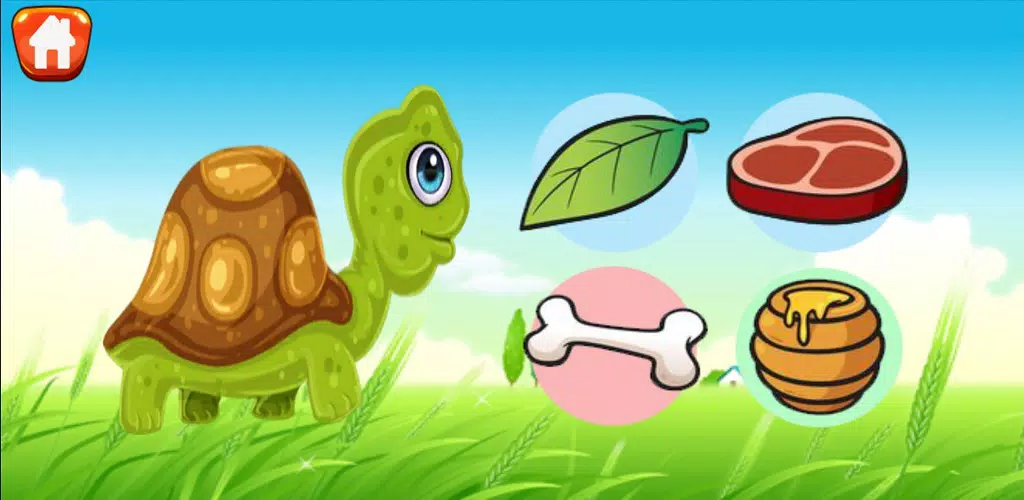 Learn and Play Animal  Screenshot 5