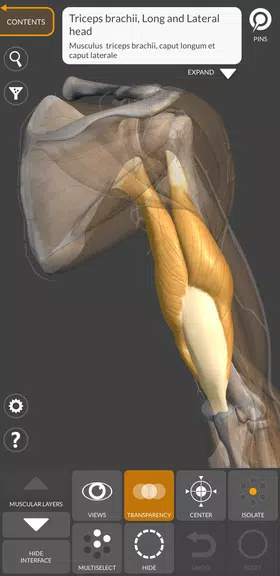 3D Anatomy for the Artist  Screenshot 3