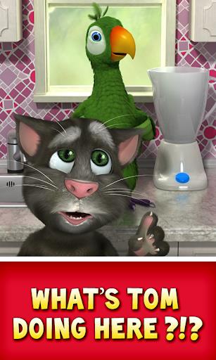 Talking Pierre the Parrot  Screenshot 1