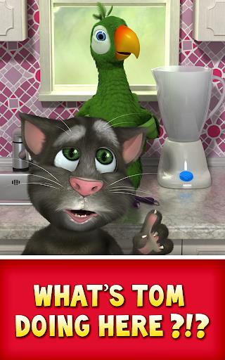 Talking Pierre the Parrot  Screenshot 6