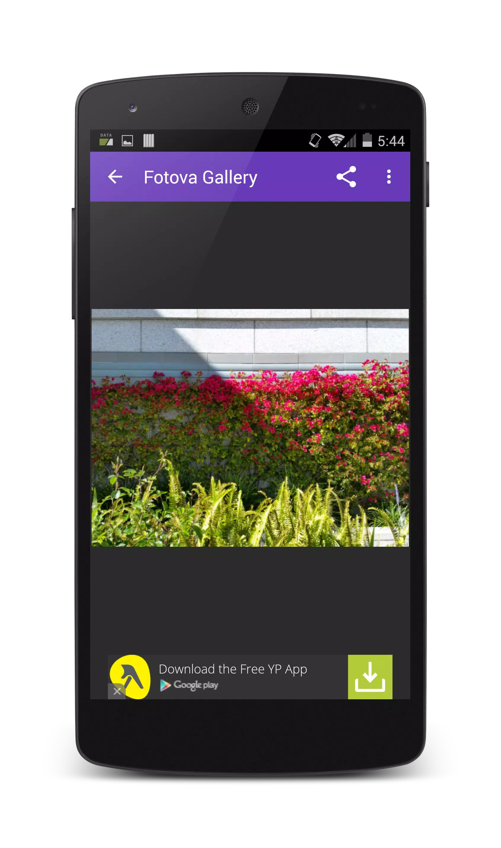 Fotova Gallery  Screenshot 4