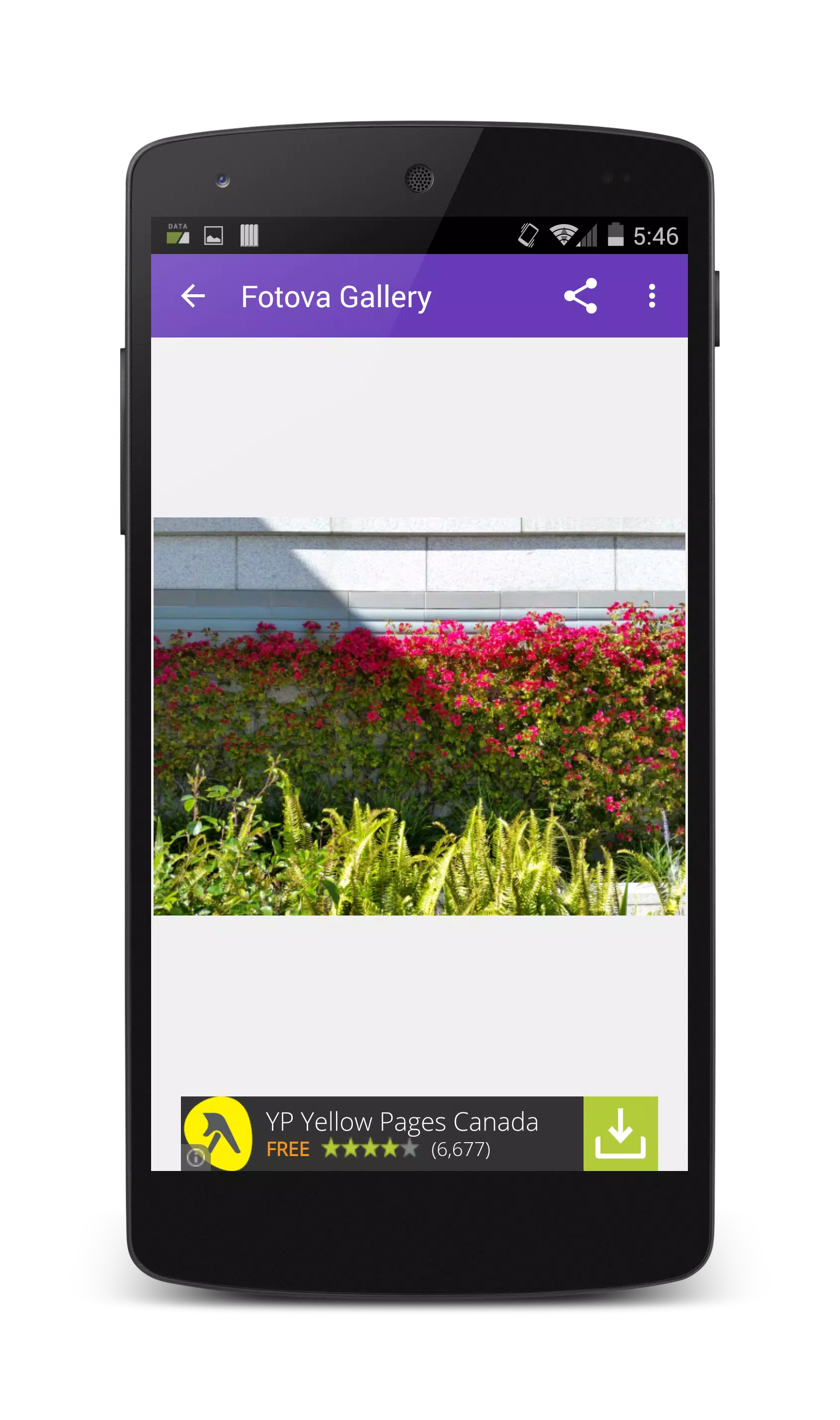 Fotova Gallery  Screenshot 7