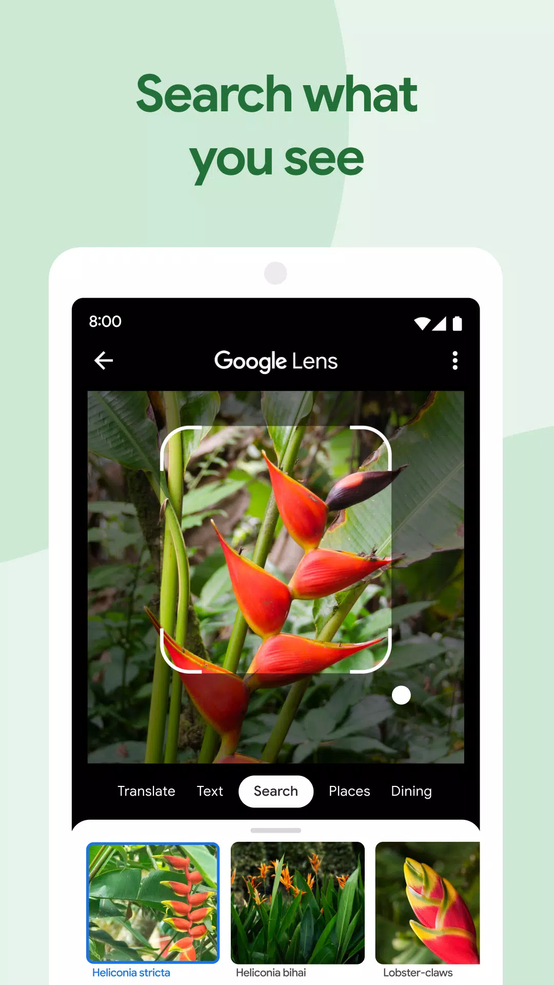 Google Photos  Screenshot 1