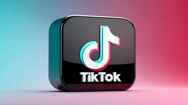 TikTok Screenshot 1