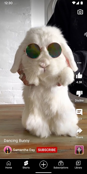 YouTube  Screenshot 1