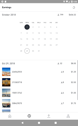 Shutterstock Contributor  Screenshot 9