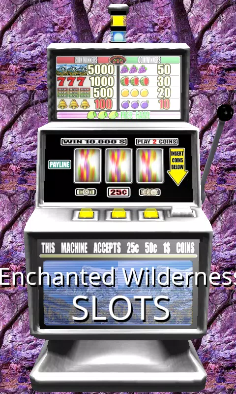 3D Enchanted Wilderness Slots Screenshot 1