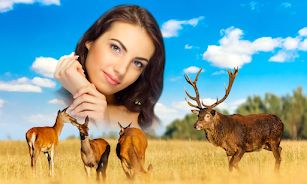 Wild Animal Photo Frames Screenshot 3