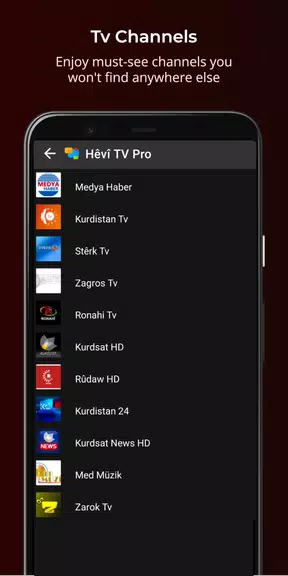 Hêvî TV Pro  Screenshot 4