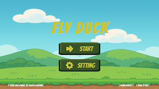 FLYDUCK  Screenshot 5