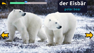 Learn Animals in German  Screenshot 1