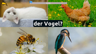 Learn Animals in German  Screenshot 4