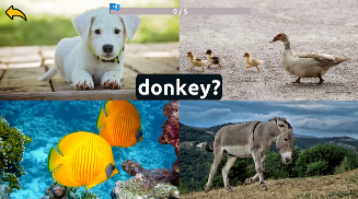 Learn Animals English Words  Screenshot 3