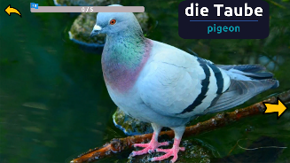 Learn Animals in German  Screenshot 10