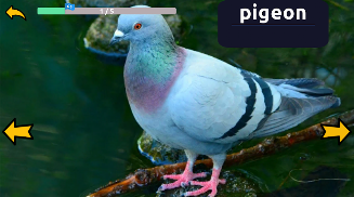 Learn Animals English Words  Screenshot 2