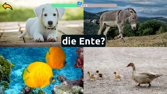 Learn Animals in German  Screenshot 7
