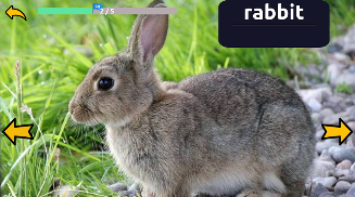 Learn Animals English Words  Screenshot 5