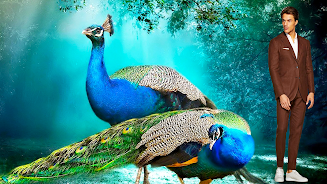 Peacock Photo Frames & Editor  Screenshot 10