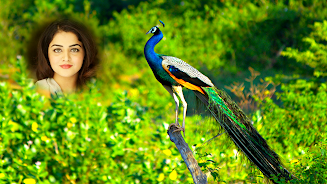 Peacock Photo Frames & Editor  Screenshot 8