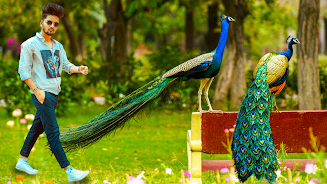 Peacock Photo Frames & Editor  Screenshot 9