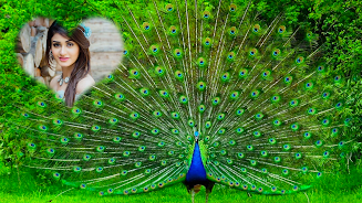 Peacock Photo Frames & Editor  Screenshot 5
