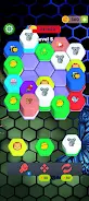 Hexa Zoo  Screenshot 4