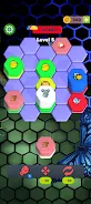 Hexa Zoo  Screenshot 2