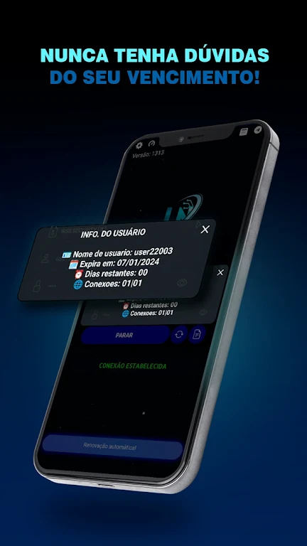 LN VPN  Screenshot 3