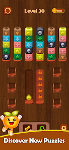 Colorwood Block - Sort Puzzle  Screenshot 3