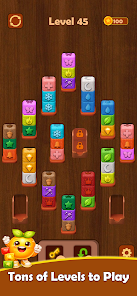 Colorwood Block - Sort Puzzle  Screenshot 4