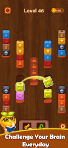 Colorwood Block - Sort Puzzle  Screenshot 6
