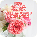 안녕하세요 APK