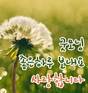 안녕하세요  Screenshot 1