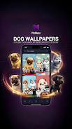 PicMaze: Premium 4K Wallpapers  Screenshot 8