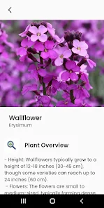AI Plant Identify & Care  Screenshot 1