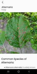 AI Plant Identify & Care  Screenshot 2