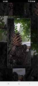 Picture Tile Puzzle  Screenshot 6