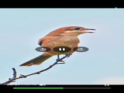 CloudPod  Screenshot 9