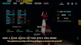 DRV: Explorers  Screenshot 4