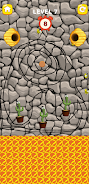 Help Me: Save The Cactus  Screenshot 3