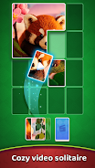 Video Solitaire  Screenshot 1