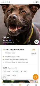 Pawfectly  Screenshot 2