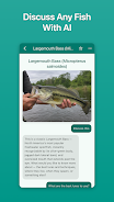 Fish Ace  Screenshot 3
