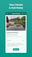 Fish Ace  Screenshot 4